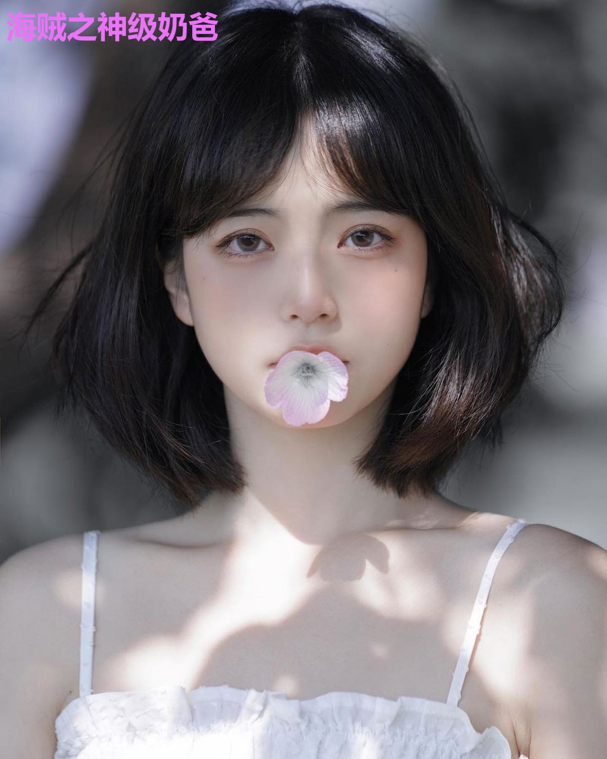 海贼之神级奶爸