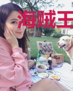 海贼王之梦幻征途txt