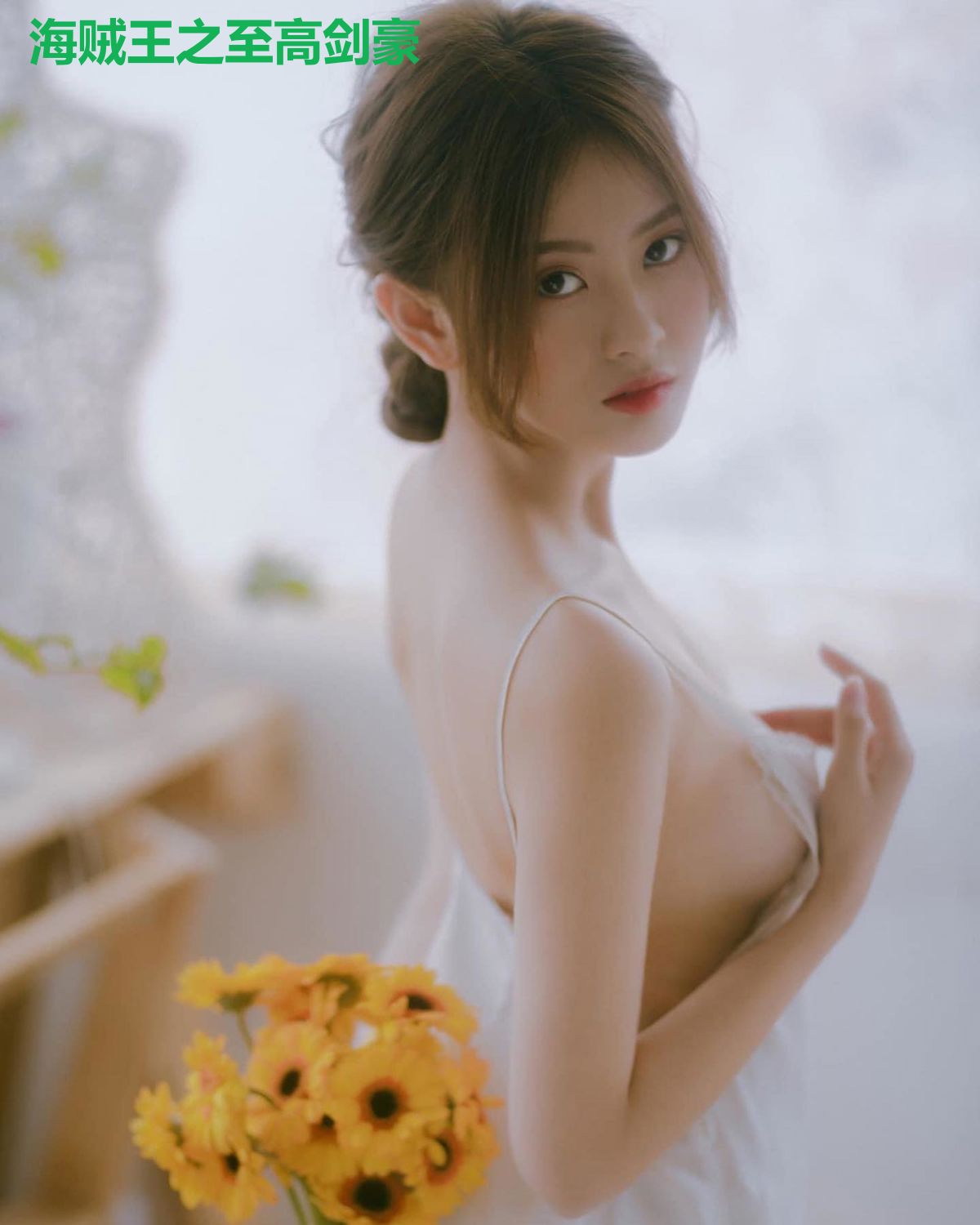 海贼王之至高剑豪