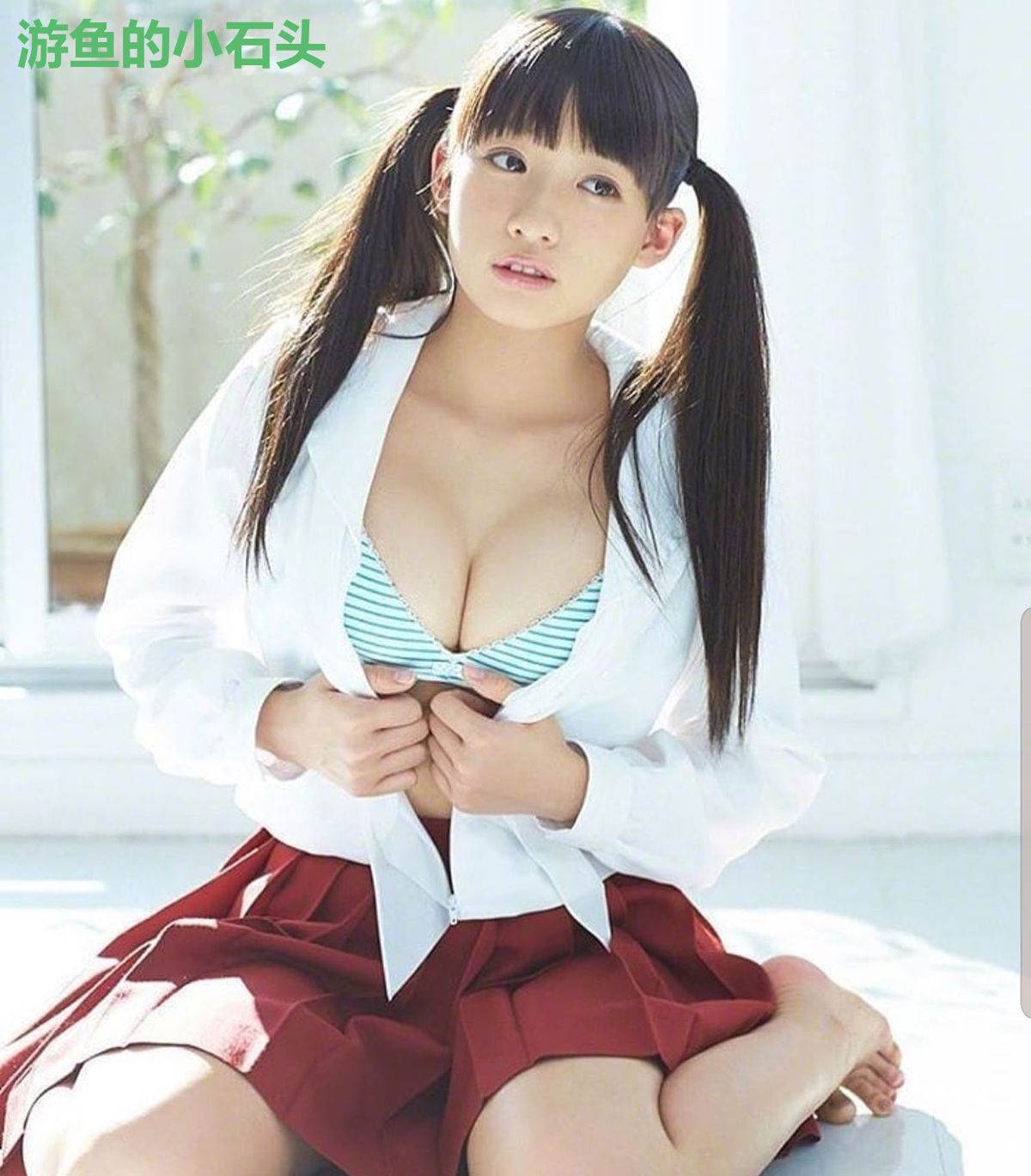 游鱼的小石头