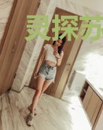 灵探苏小宝