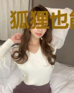 狐狸也能修仙