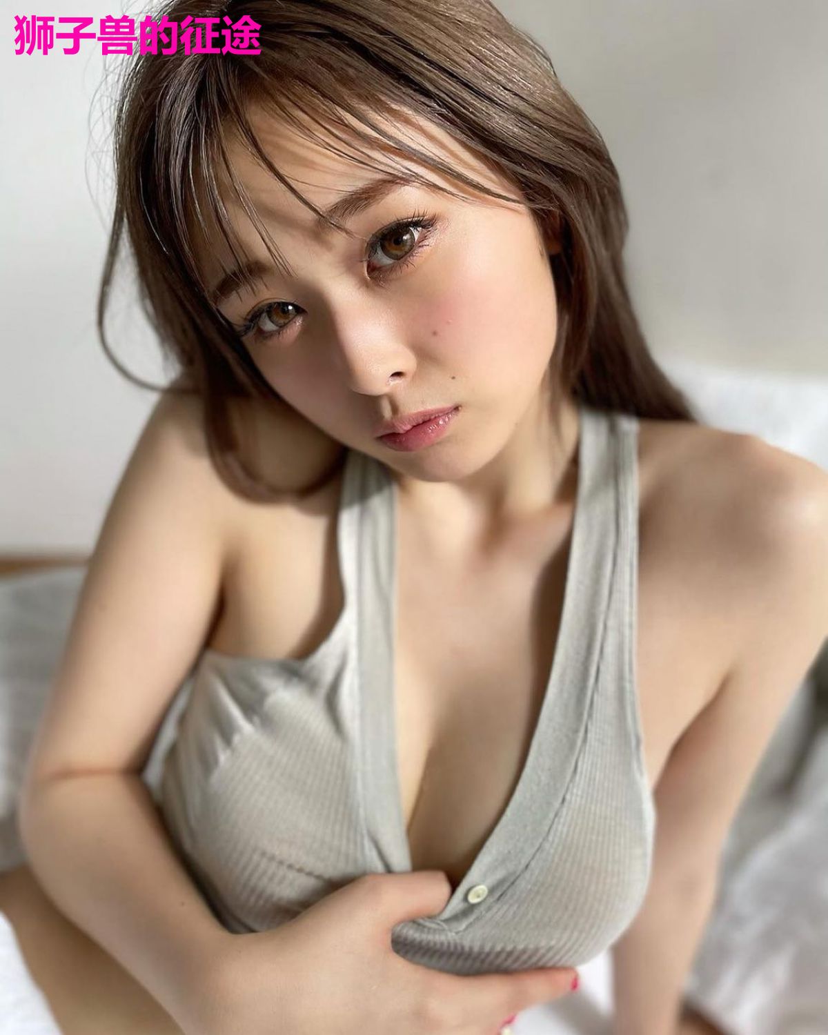 狮子兽的征途