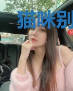 猫咪别乱来