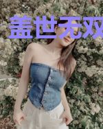 盖世无双林苏苏