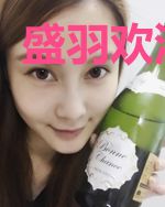 盛羽欢沈辞聿