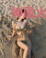神凰火灵君林星辰