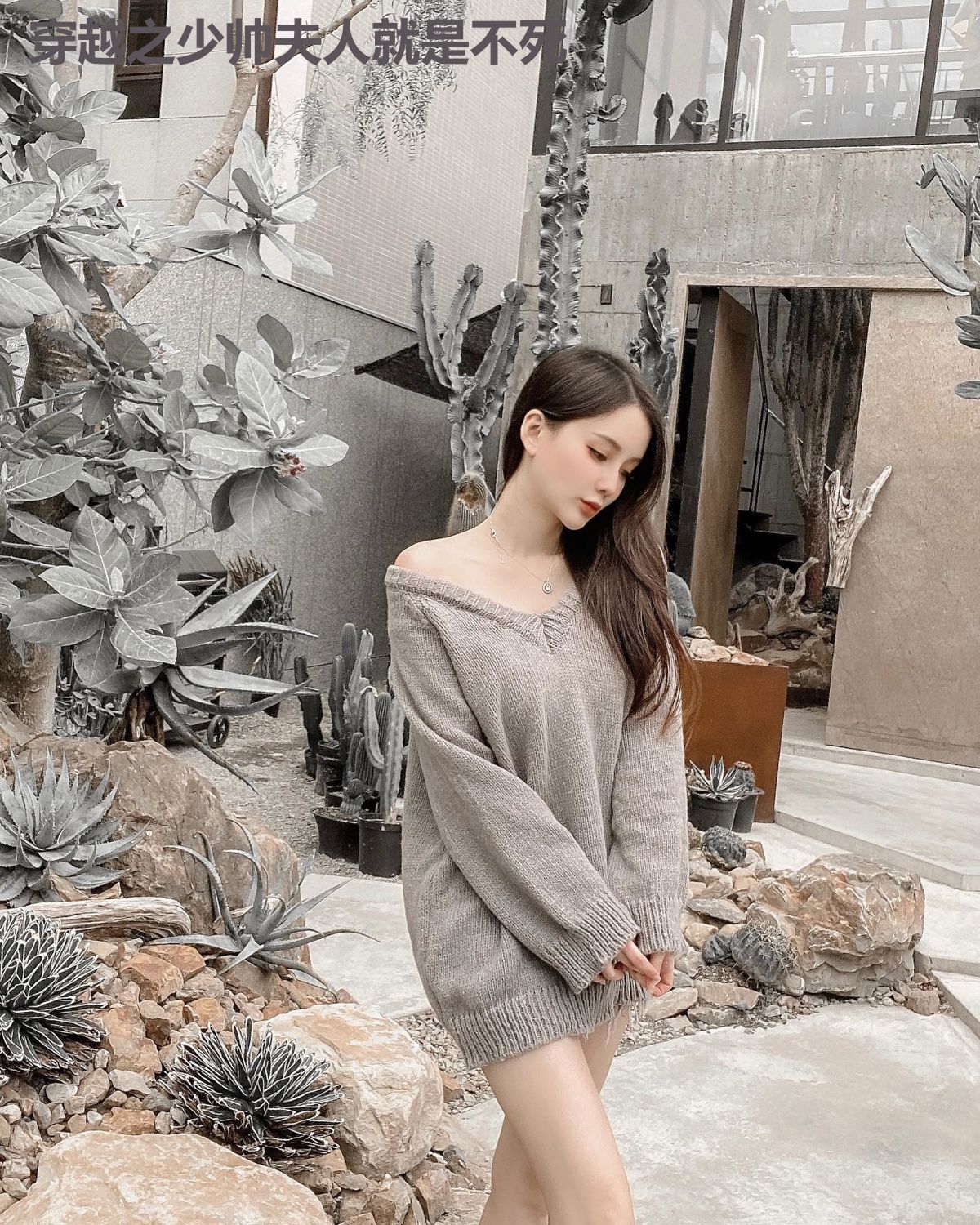 穿越之少帅夫人就是不死