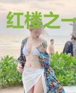 红楼之一代圣君