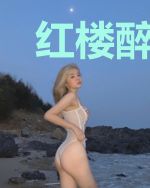 红楼醉红楼