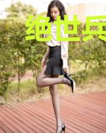 绝世兵王叶寒林婉清