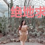 绝地求生之韦神归来