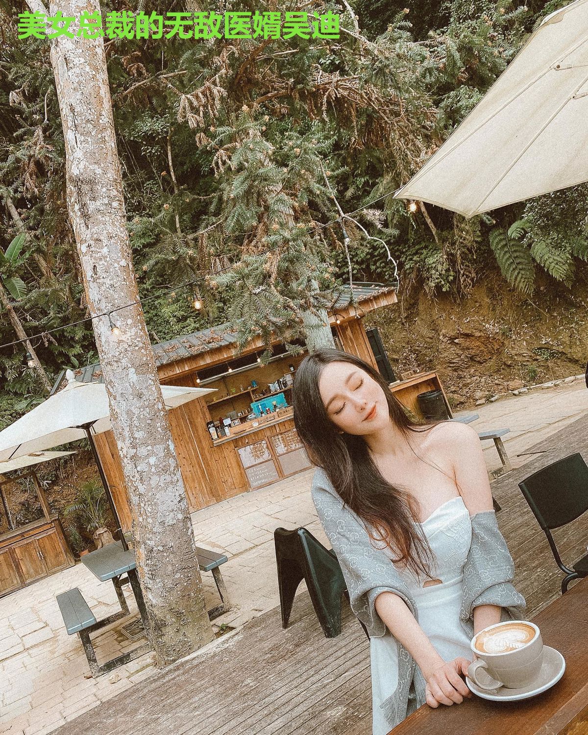 美女总裁的无敌医婿吴迪