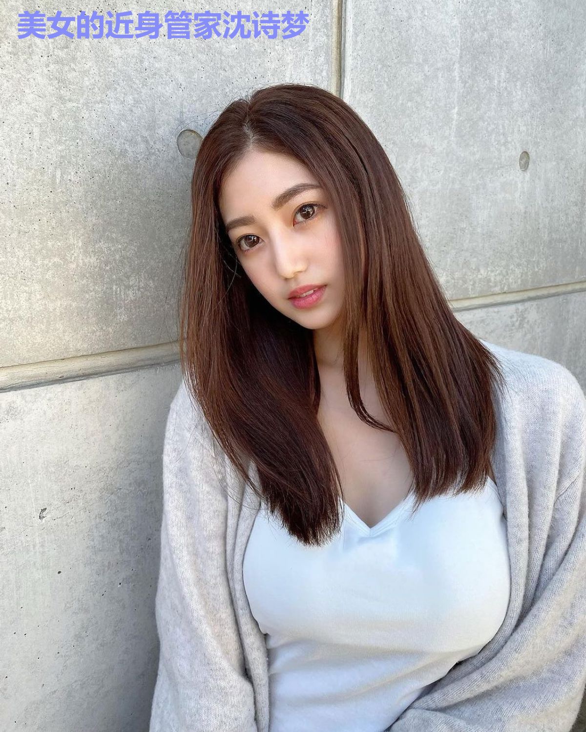 美女的近身管家沈诗梦