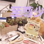 至尊少年皇帝系统