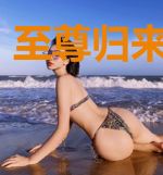 至尊归来当赘婿