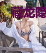 藏龙隐卫陈永华苏可儿