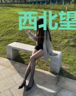 西北望长安
