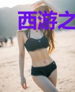 西游之启示