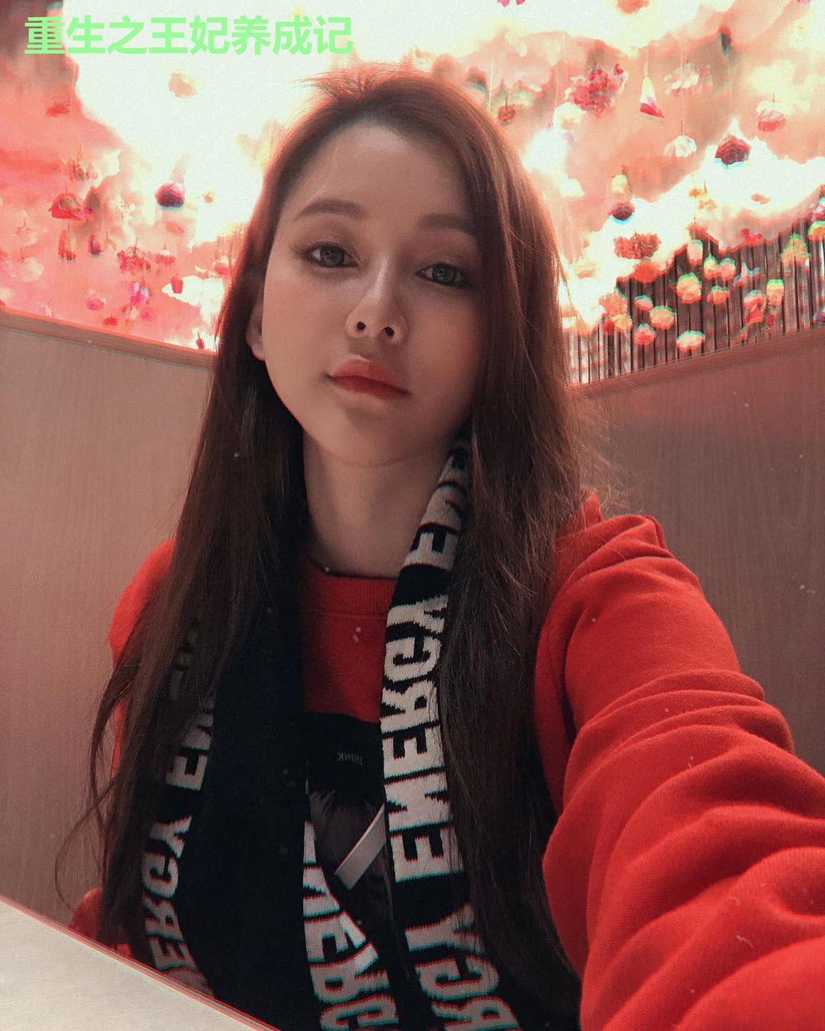 重生之王妃养成记