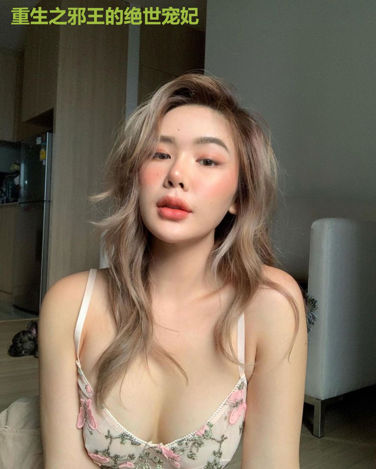重生之邪王的绝世宠妃