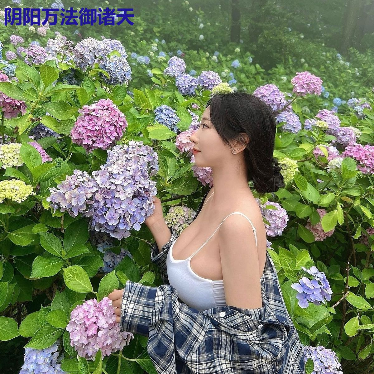 阴阳万法御诸天