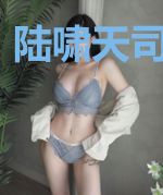 陆啸天司马玉娟