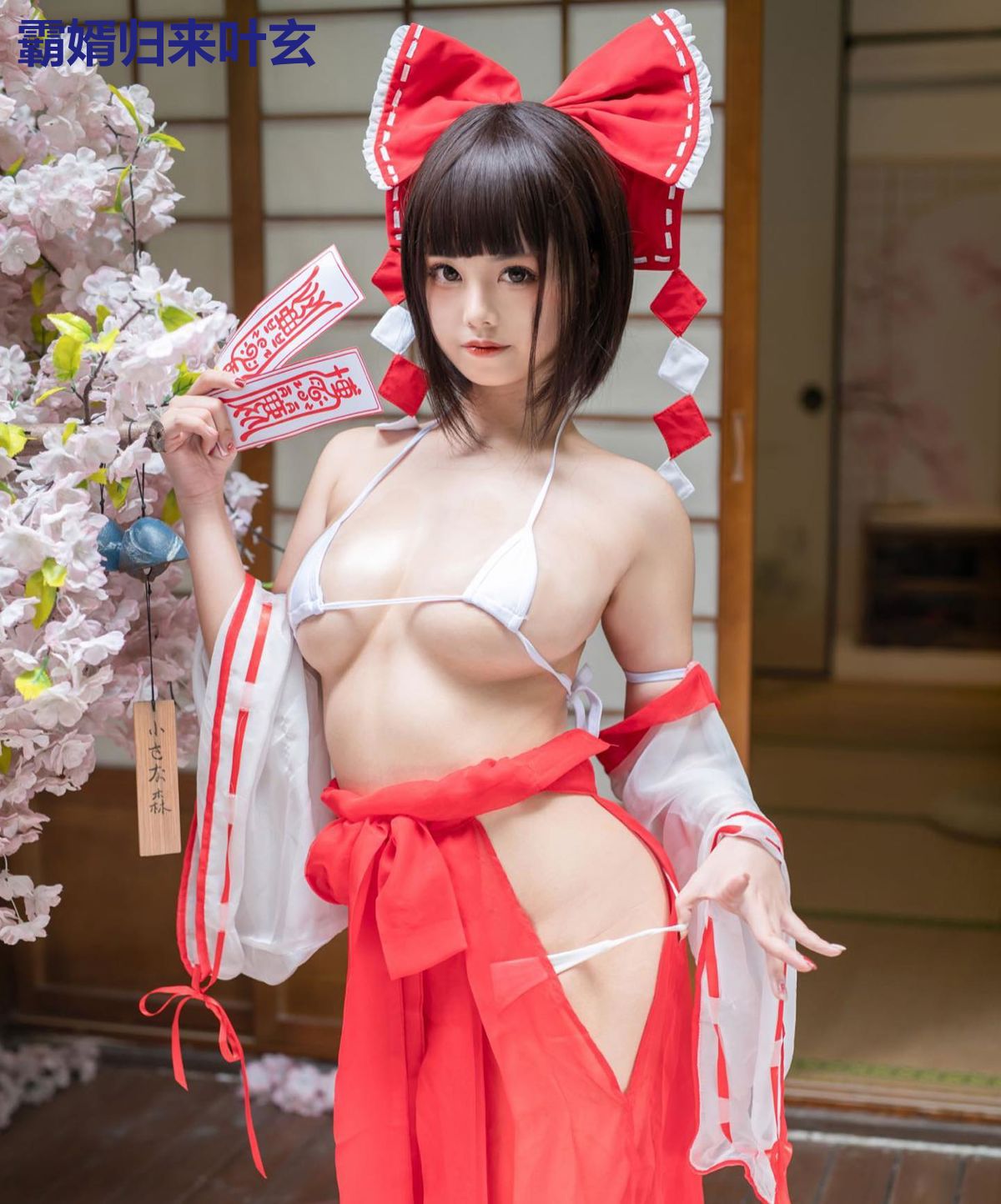 霸婿归来叶玄