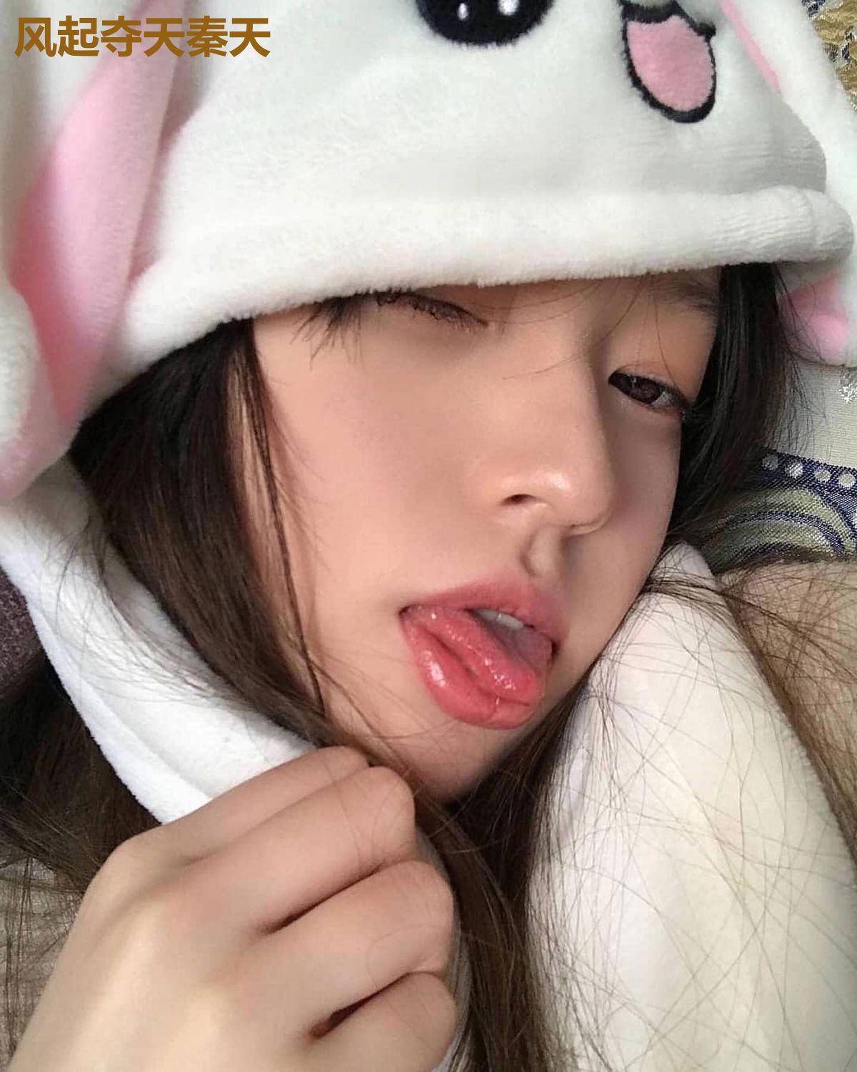 风起夺天秦天