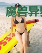 魔兽异界纵横