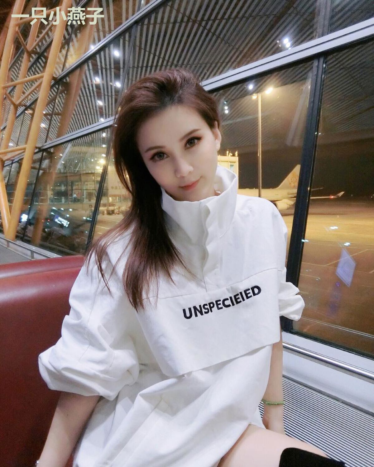 一只小燕子