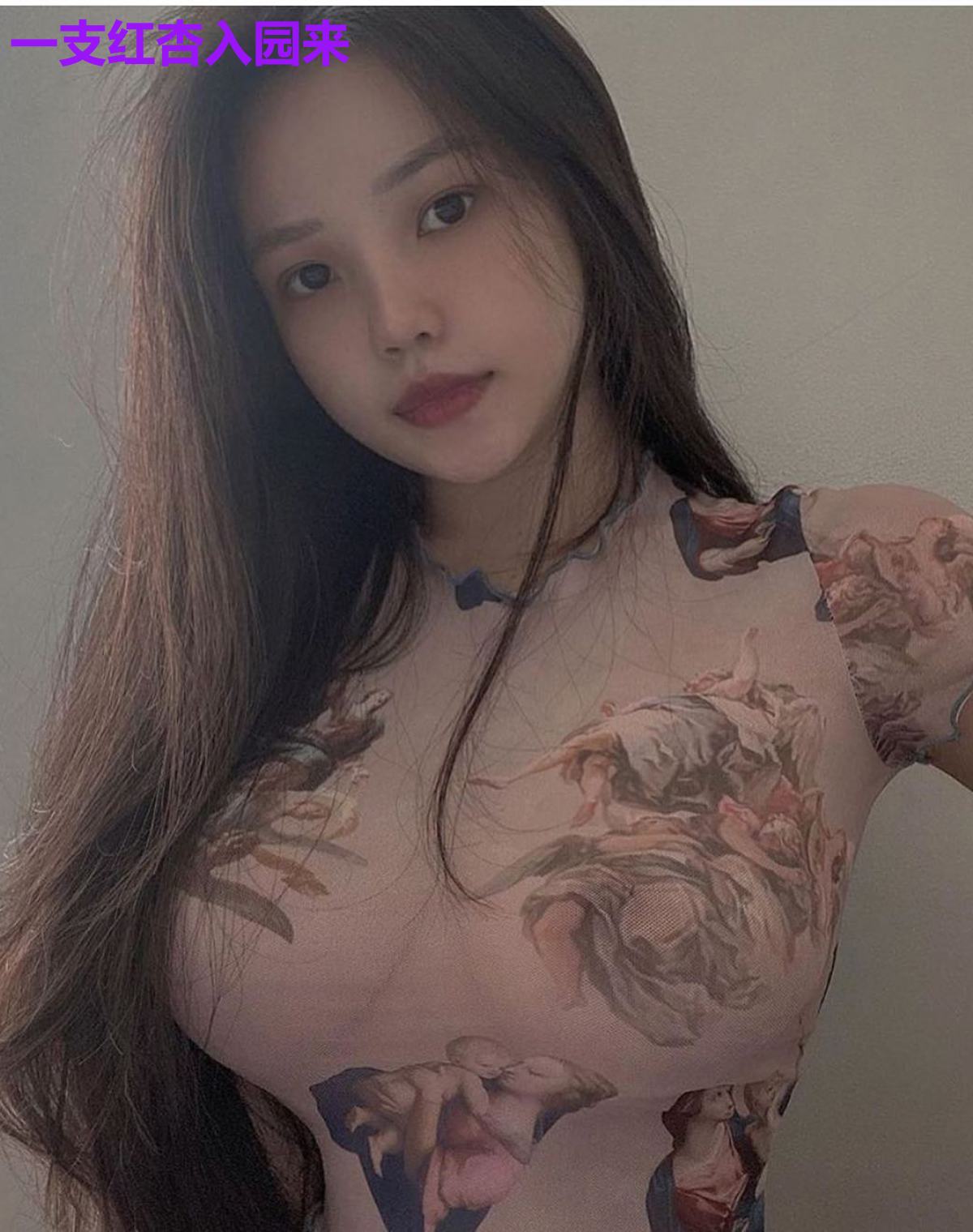 一支红杏入园来