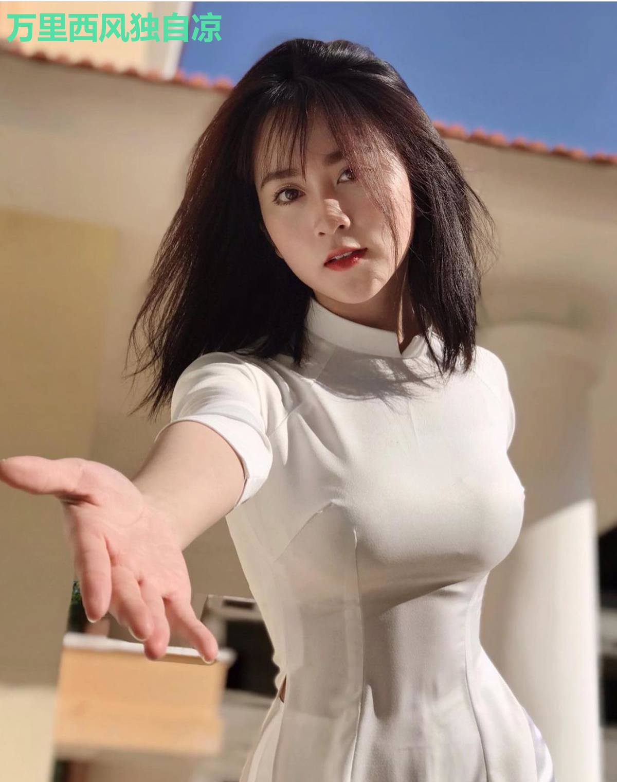 万里西风独自凉