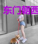 东门朝西必无门