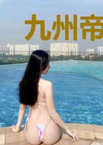 九州帝师叶凡