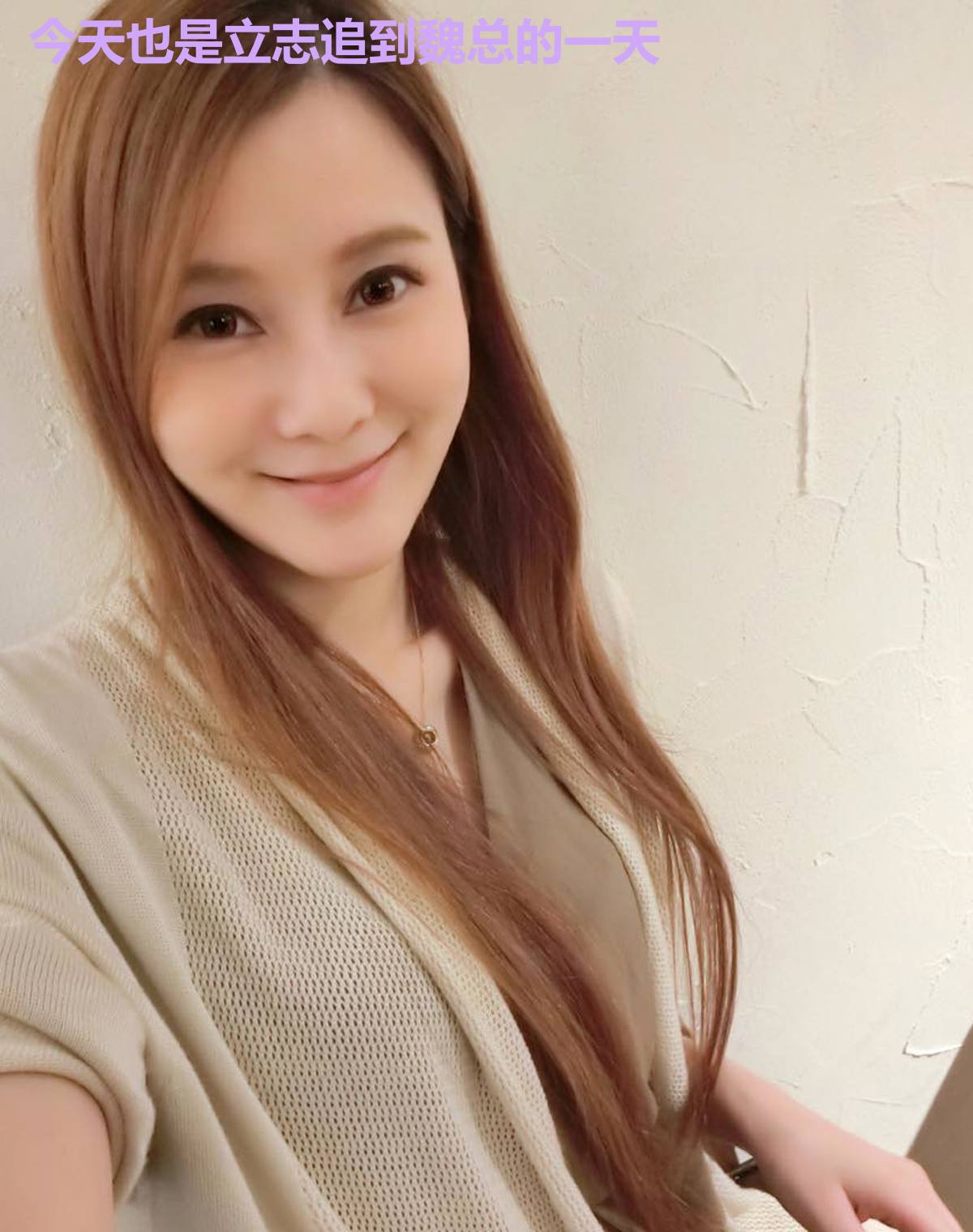 今天也是立志追到魏总的一天