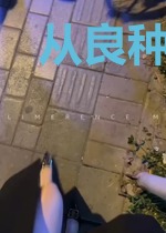 从良种田纪事