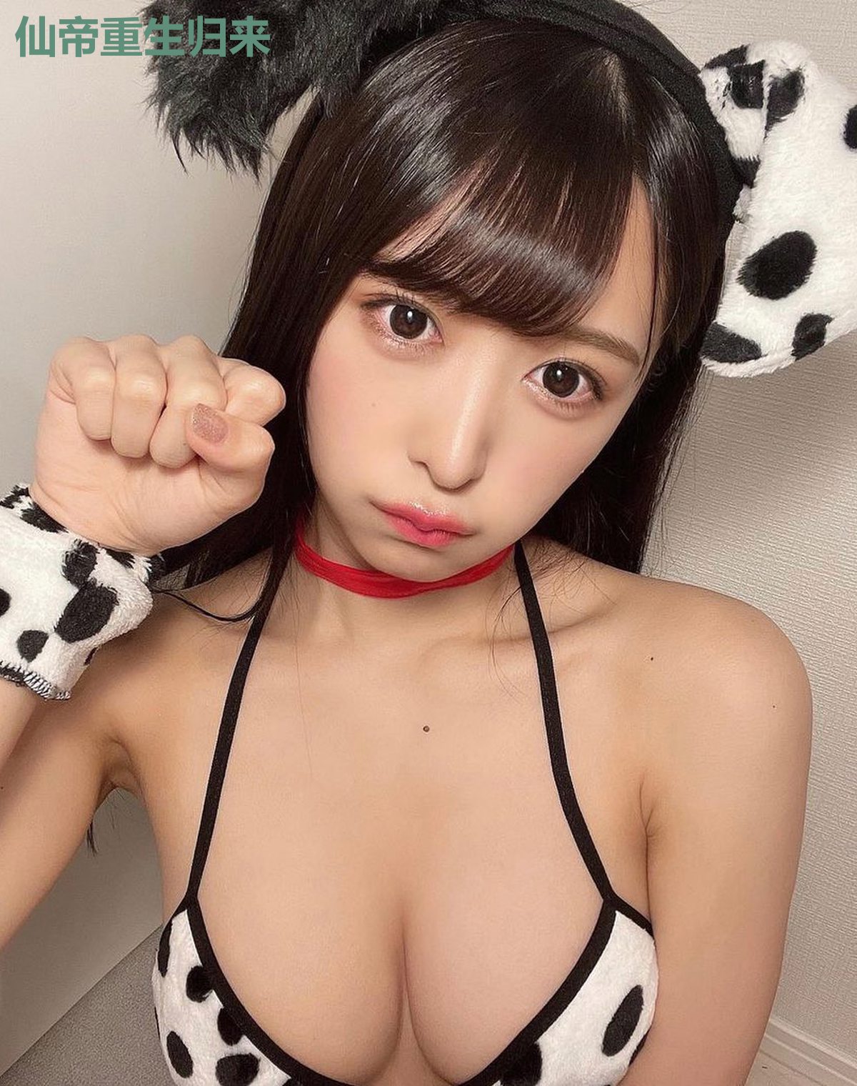 仙帝重生归来