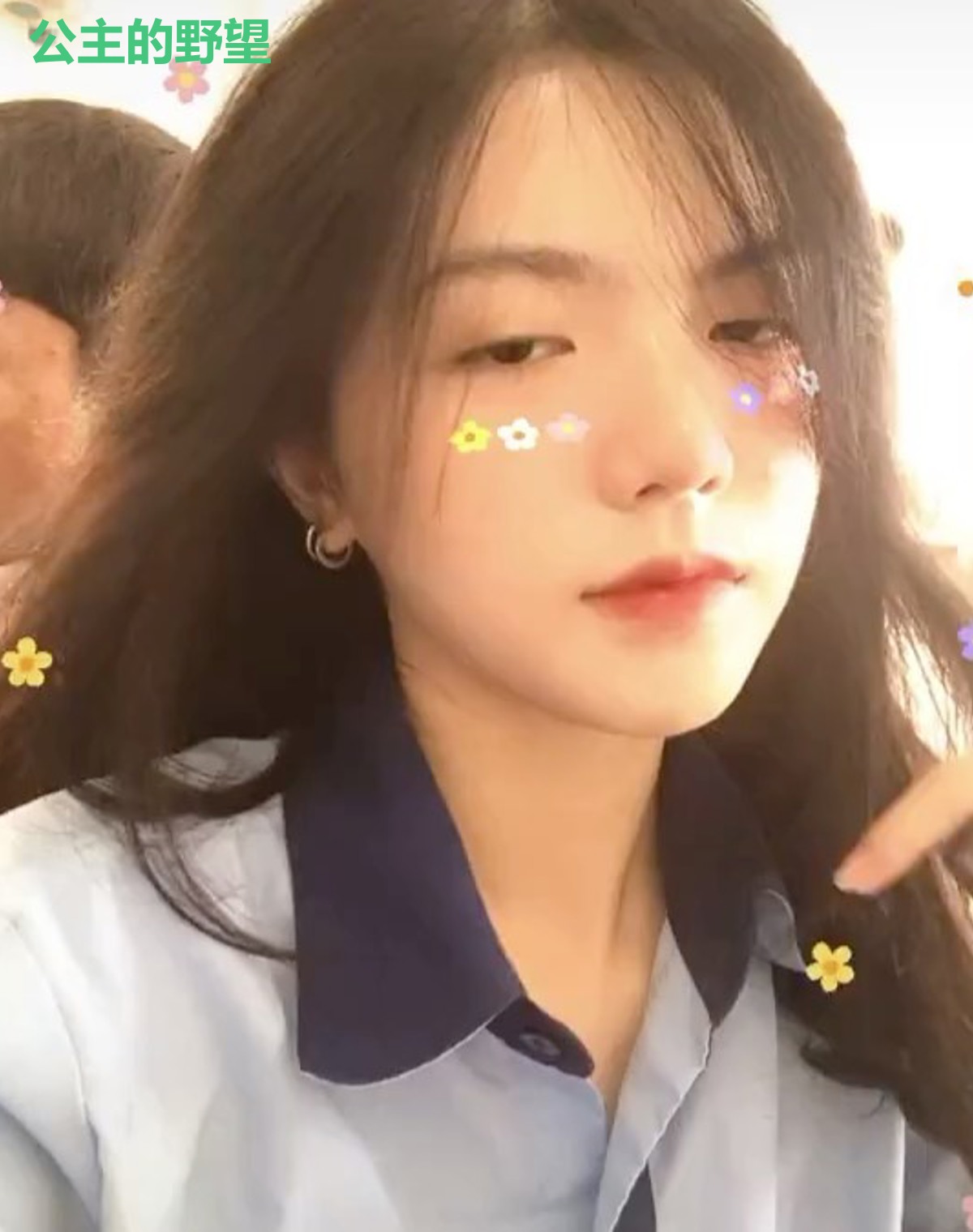 公主的野望