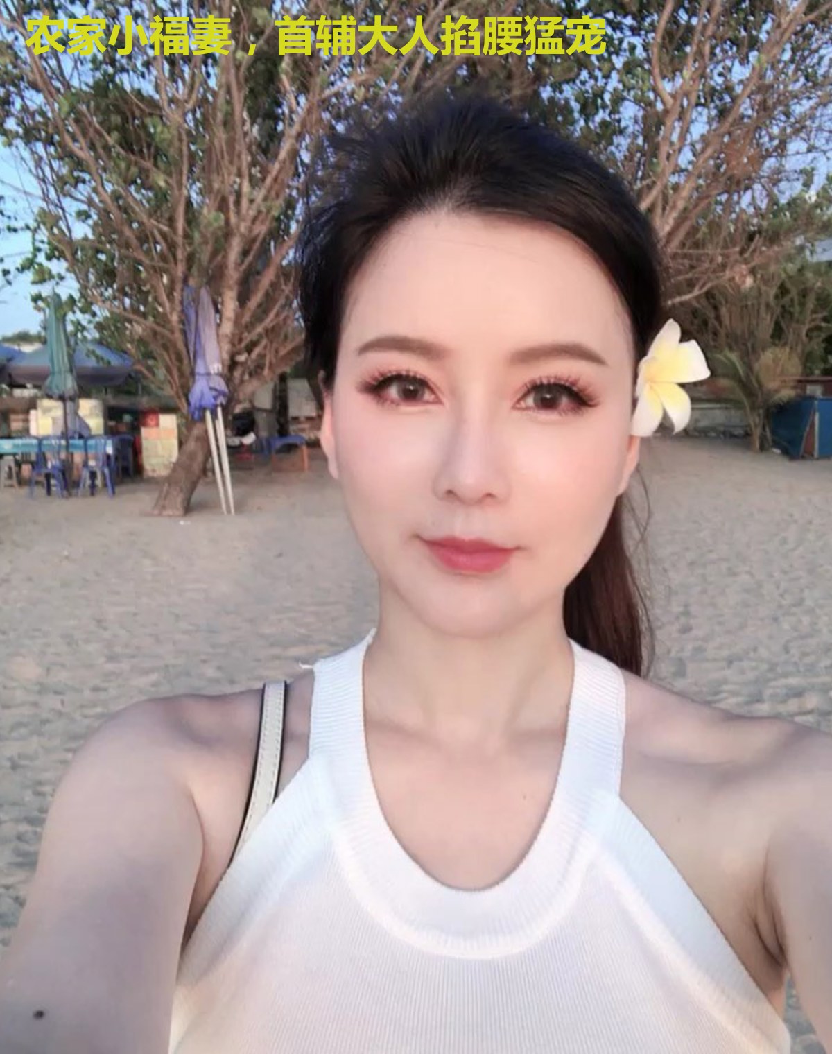 农家小福妻，首辅大人掐腰猛宠