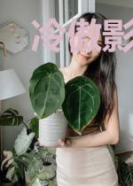 冷傲影帝的秘密:小妻难追要给力