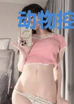动物控制系统