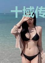 十域传说五魂传