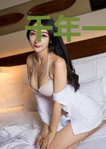千年一幻之西夏遗梦
