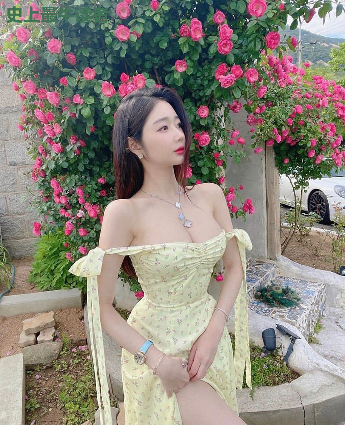 史上最牛读者