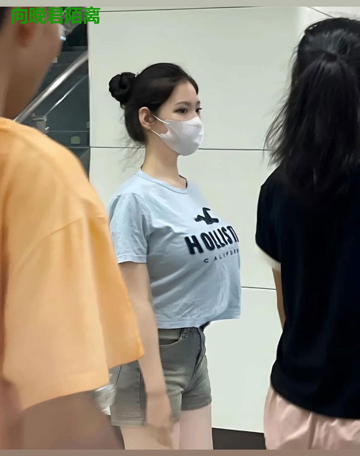 向晚君陌离
