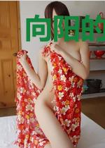 向阳的太阳花