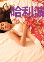 哈利波特与命运长廊