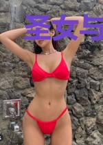 圣女与她的守护骑士