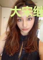 大宋继承者